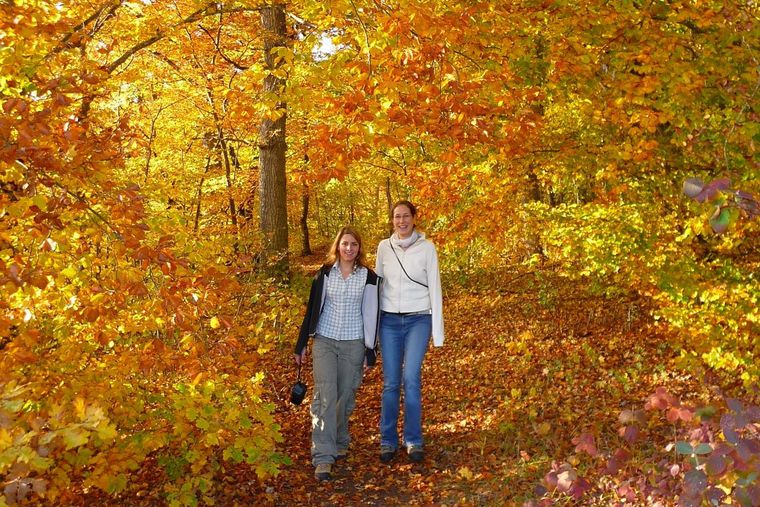 Relaxed walks through colorful foliage